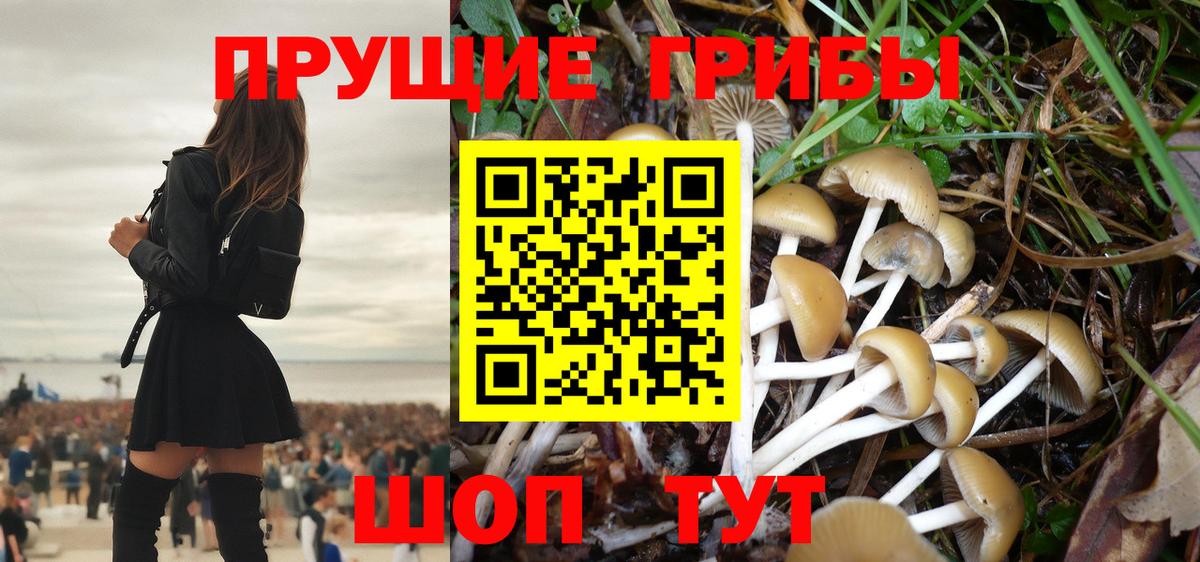 купить   Вход с VPN  Галлюциногенные грибы Cubensis  Троицк  Галлюциногенные грибы мицелий 