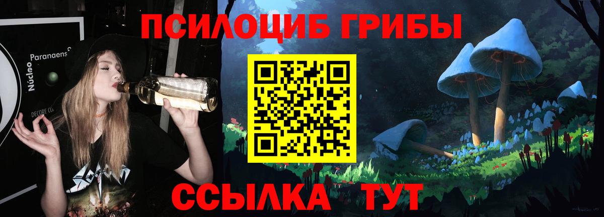 Псилоцибиновые грибы Cubensis Троицк
